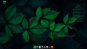 Cinnamon_20.0.3
