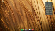Cinnamon_21.0.5